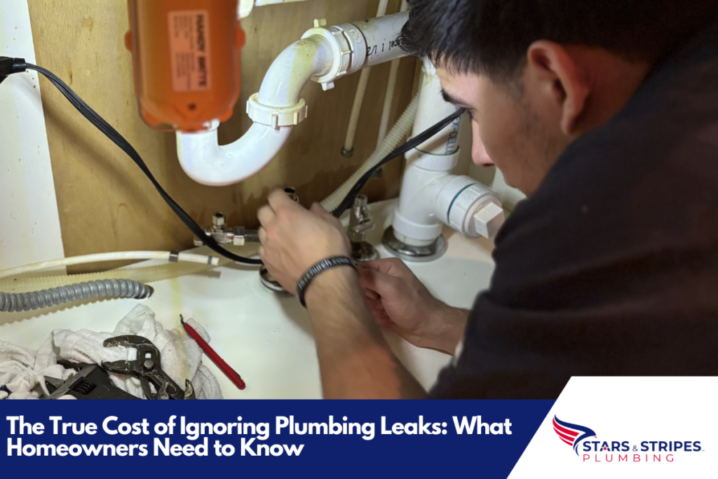 https://starsandstripes.plumbing/blog/winter-plumbing-maintenance-checklist/