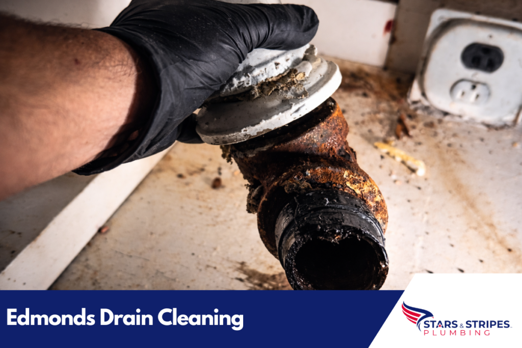 Edmonds Drain Cleaning
