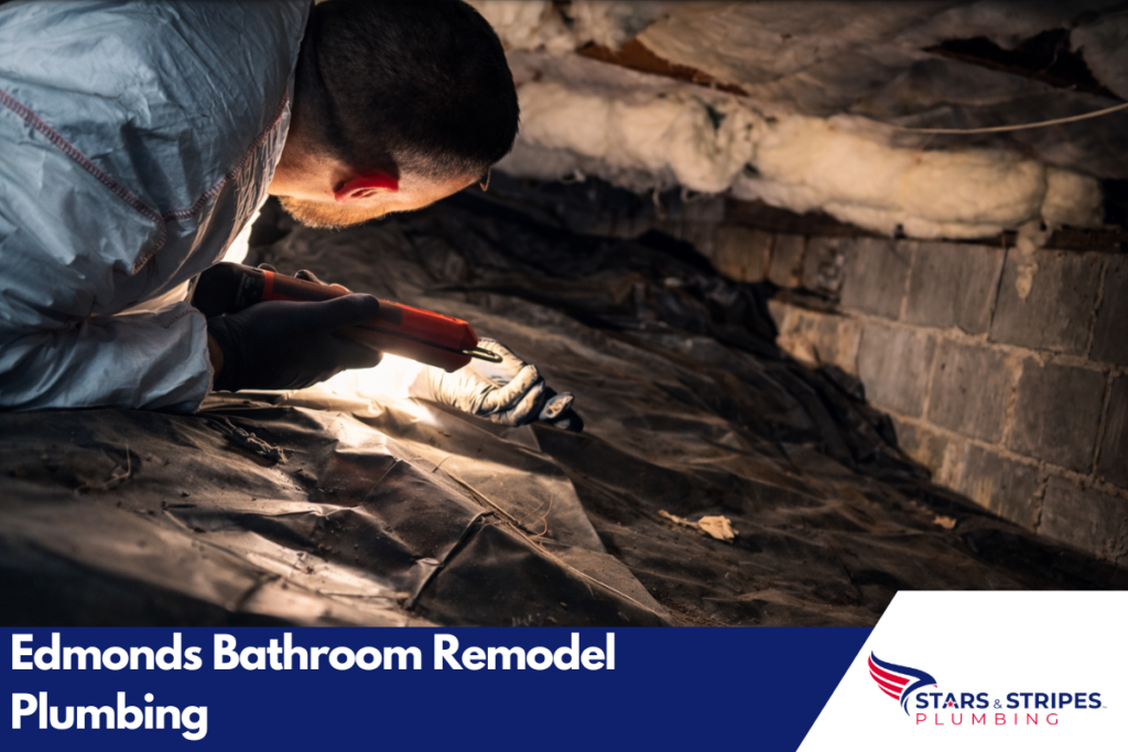 Edmonds Bathroom Remodel Plumbing