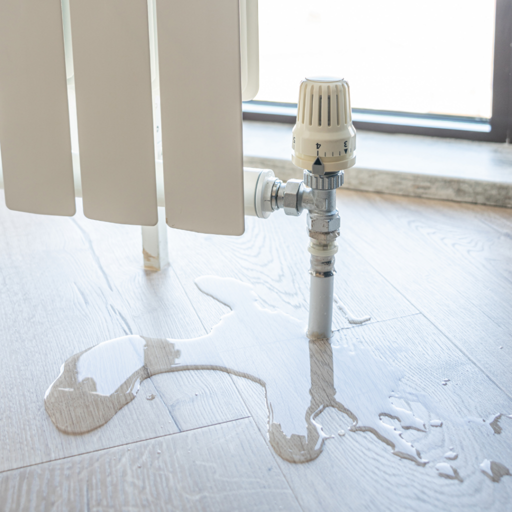 Common Signs You May Have a Hidden Water Leak